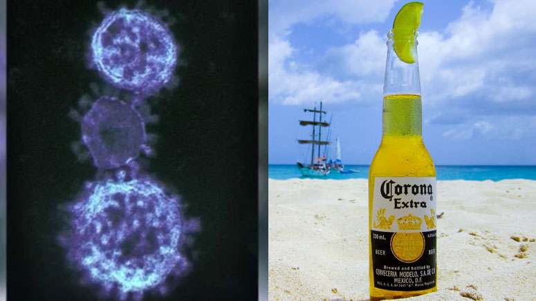 corona beer virus 